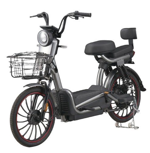 Bicicleta Elétrica XINJEI 1000W