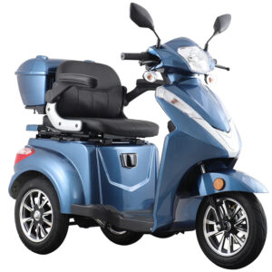 Triciclo Elétrico ORIN JUY 1200W