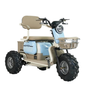 Triciclo Elétrico JUNGO ROAD 1000W